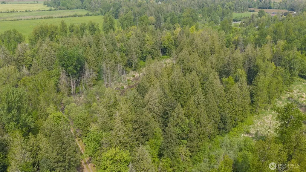2165 E Badger Everson WA 98247
