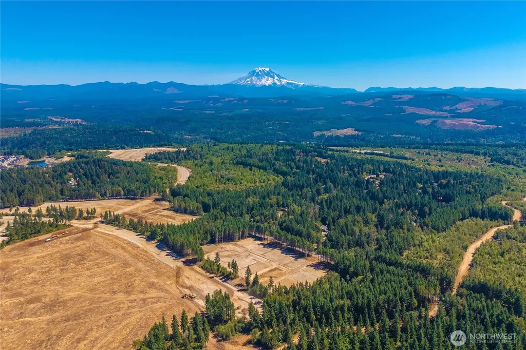 16102 193rd Avenue E Bonney Lake WA 98391