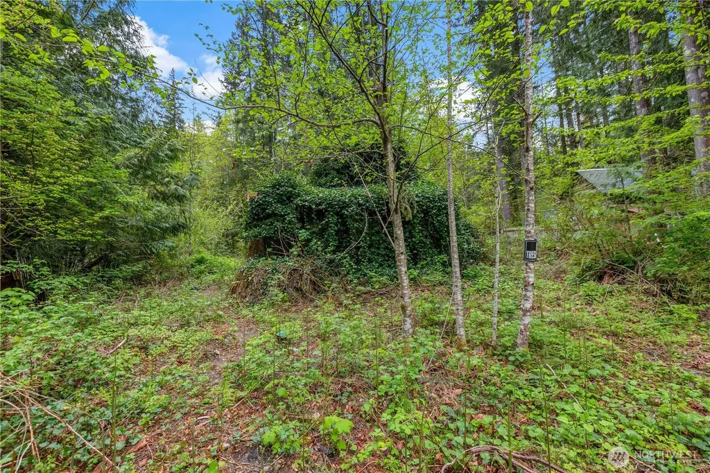 51223 195th Place SE Index WA 98256