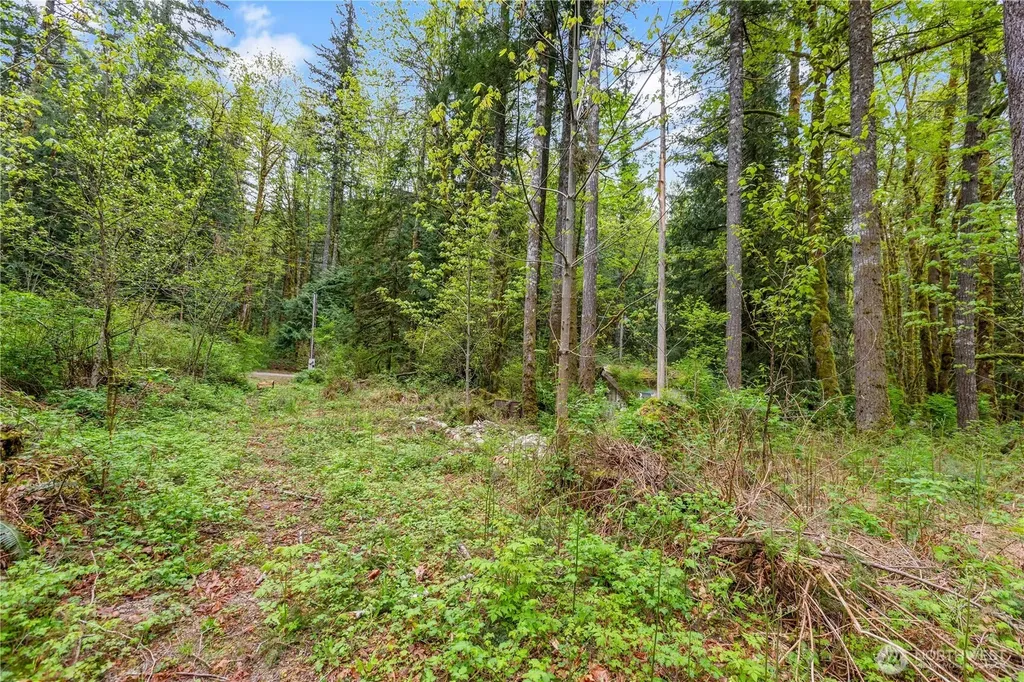 51223 195th Place SE Index WA 98256