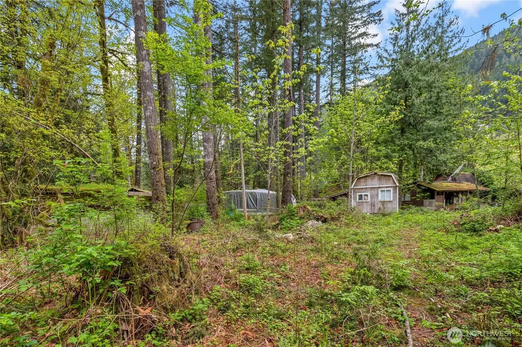 51223 195th Place SE Index WA 98256