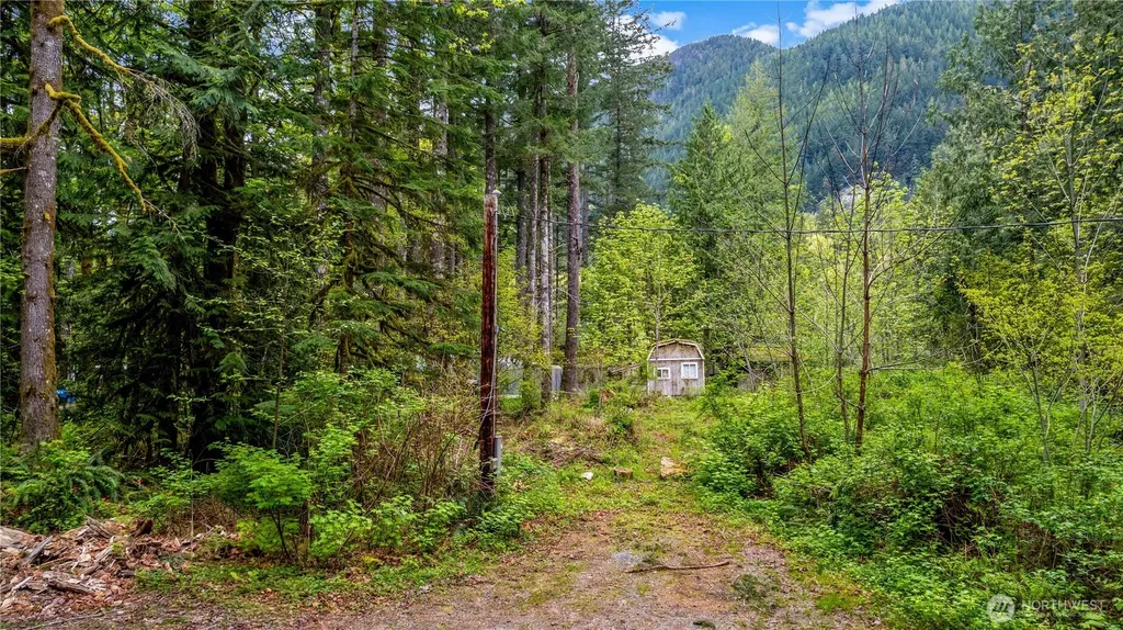 51223 195th Place SE Index WA 98256