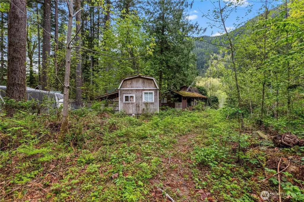 51223 195th Place SE Index WA 98256