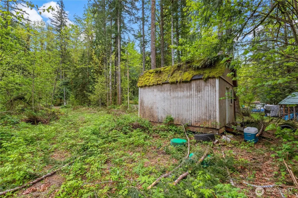51223 195th Place SE Index WA 98256