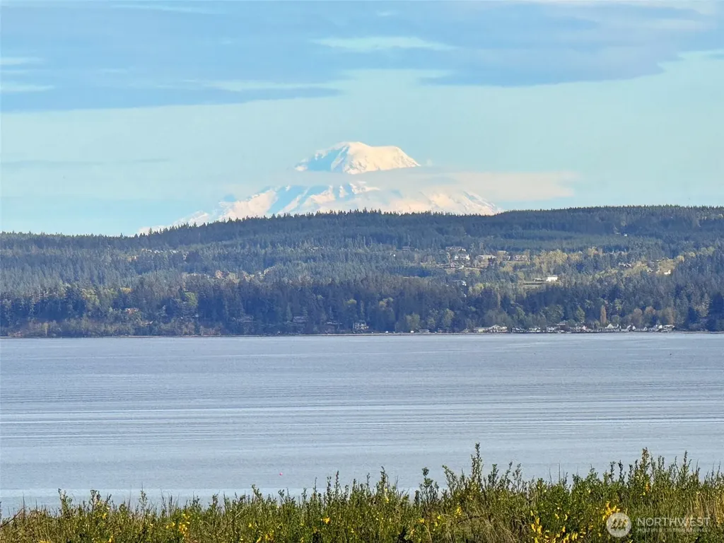 346 Buena Vista Way Brinnon WA 98320