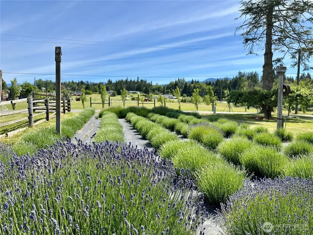 31 Brueckner Road Sequim WA 98382