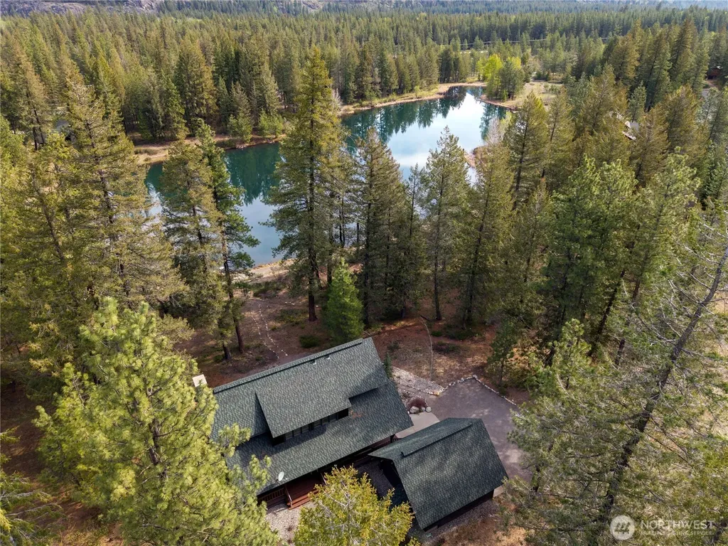 32 Freestone Lake Drive Mazama WA 98833