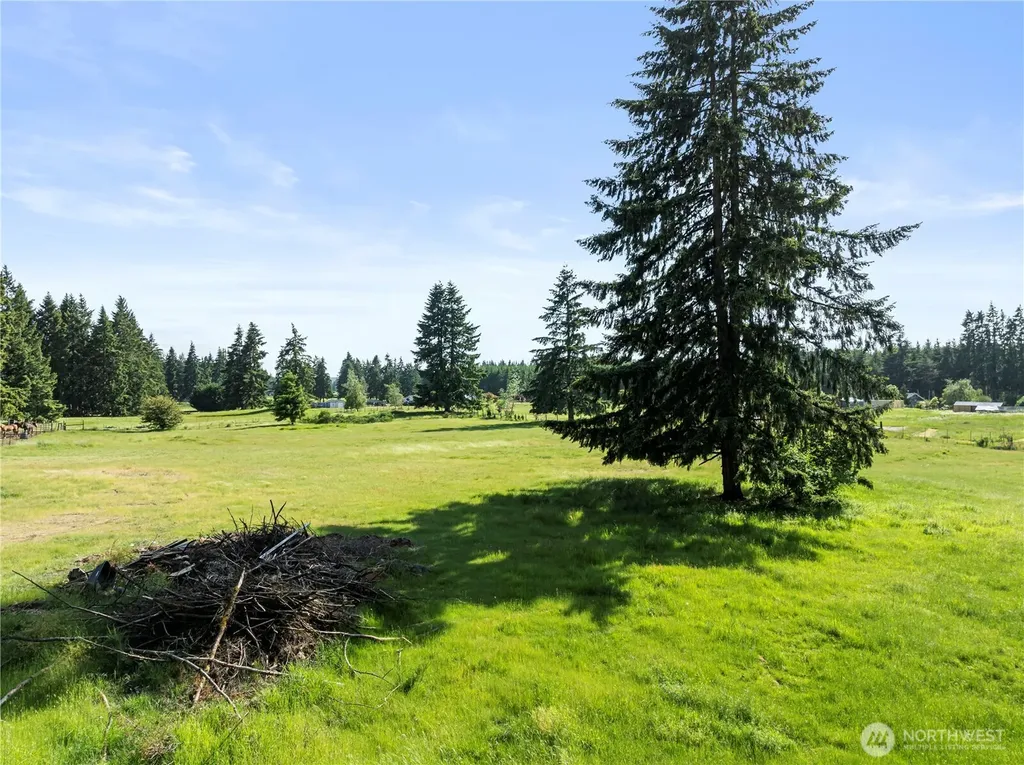 16915 Eugene Street SW Rochester WA 98579