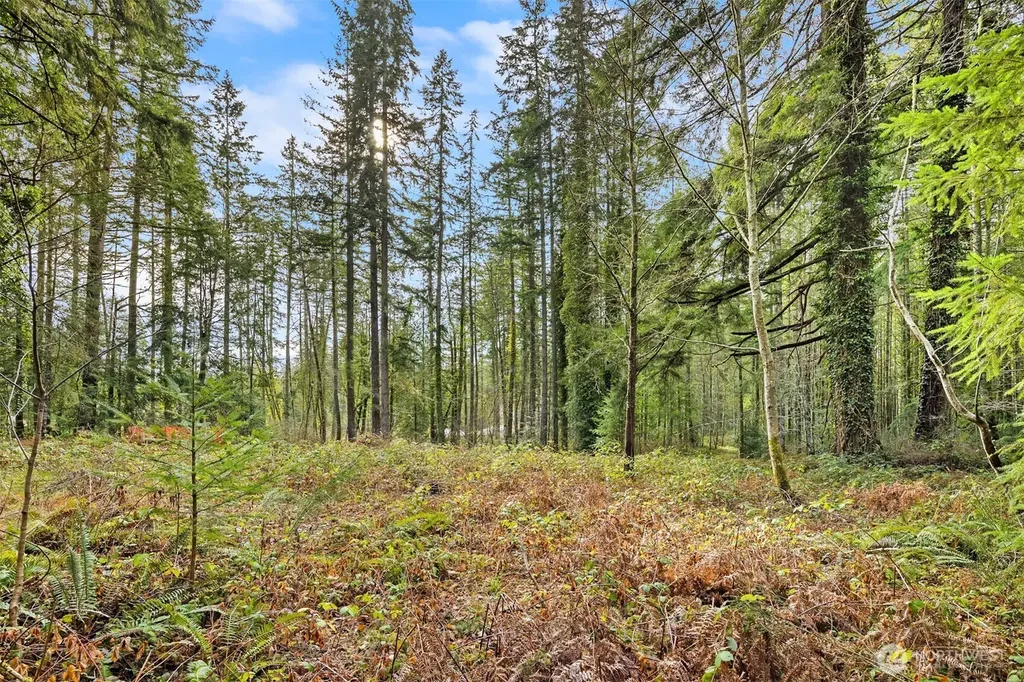 0 Sands Avenue NE Bainbridge Island WA 98110