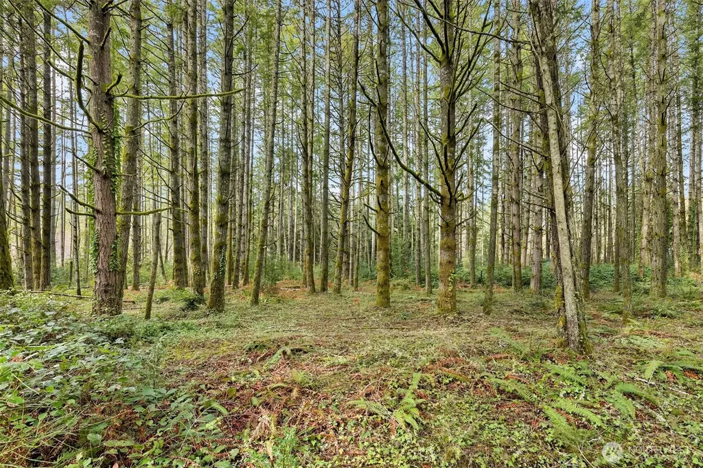 0 Sands Avenue NE Bainbridge Island WA 98110