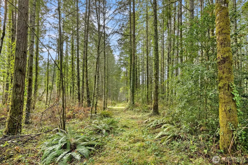 0 Sands Avenue NE Bainbridge Island WA 98110