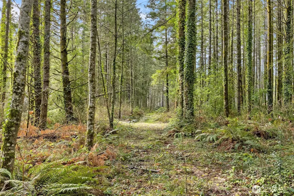 0 Sands Avenue NE Bainbridge Island WA 98110