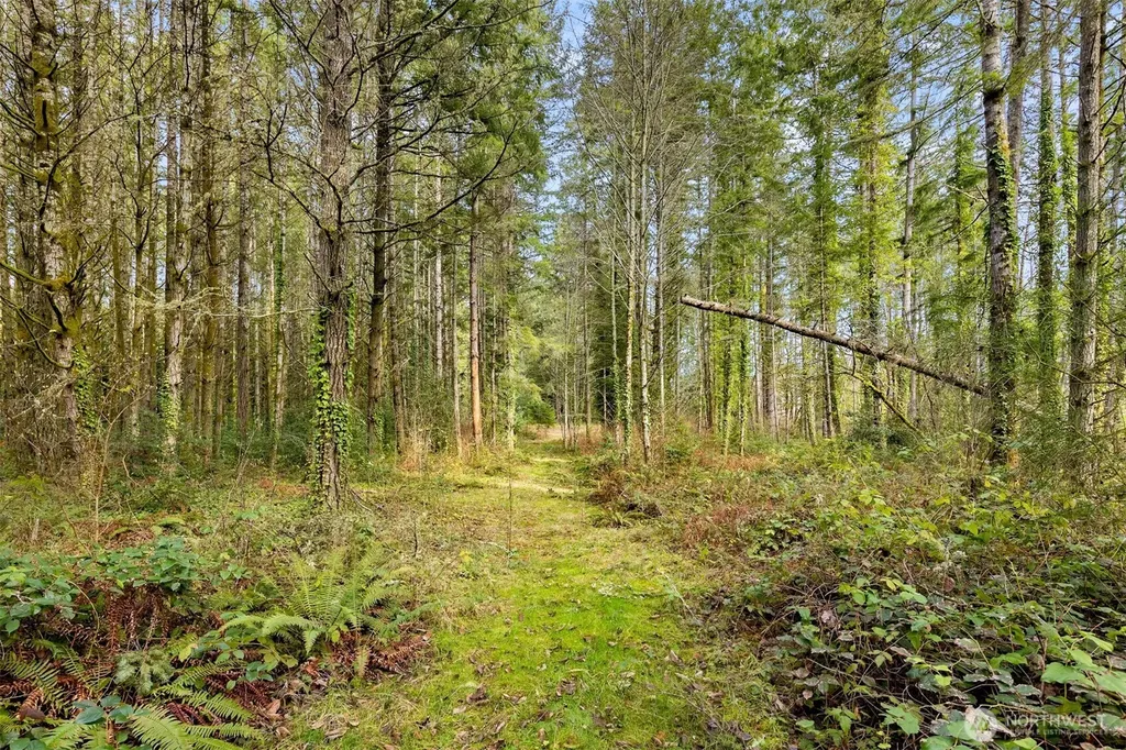 0 Sands Avenue NE Bainbridge Island WA 98110