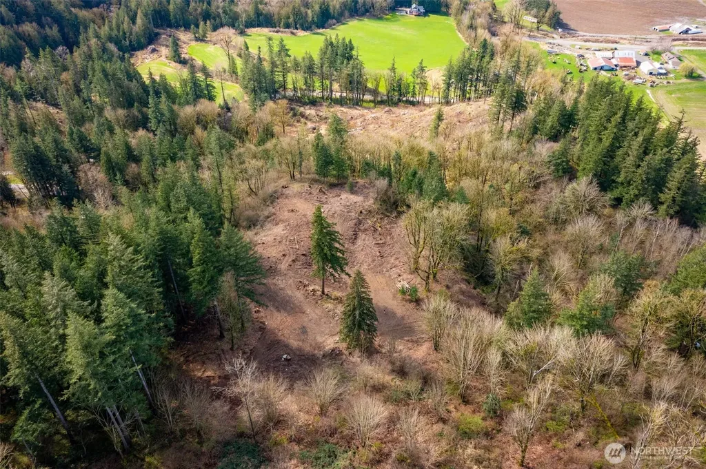 48 Reese Hill Road Sumas WA 98295
