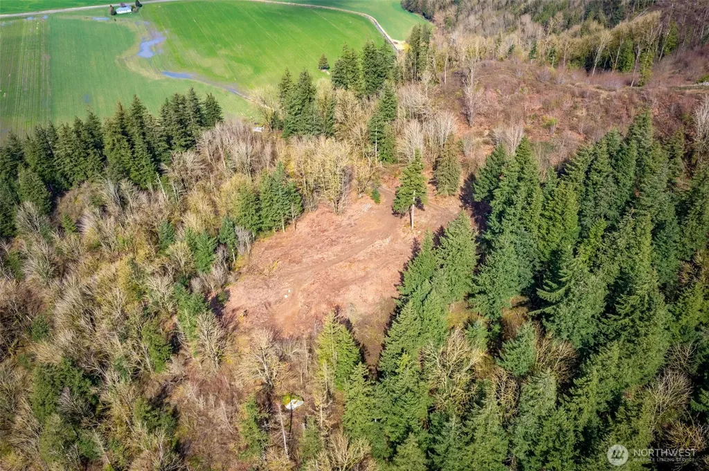 48 Reese Hill Road Sumas WA 98295