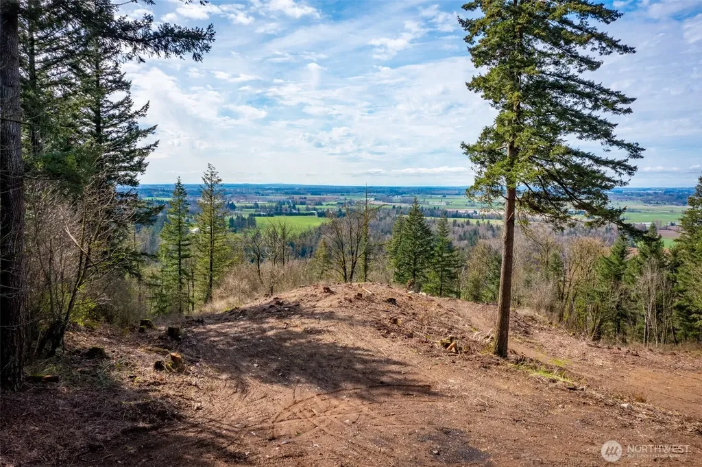 48 Reese Hill Road Sumas WA 98295