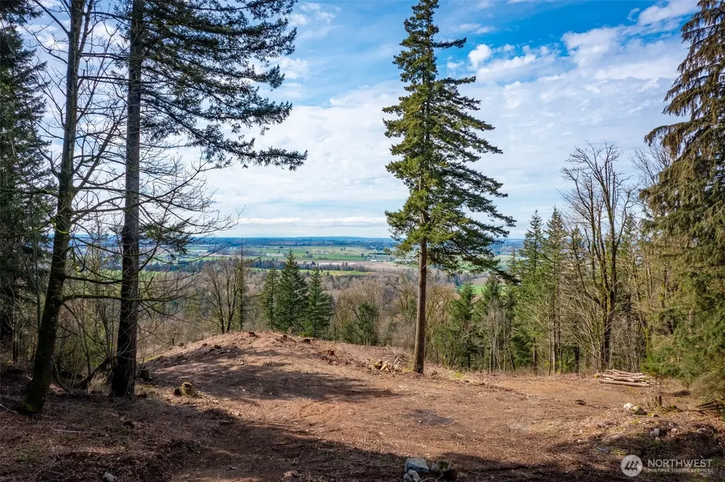 48 Reese Hill Road Sumas WA 98295