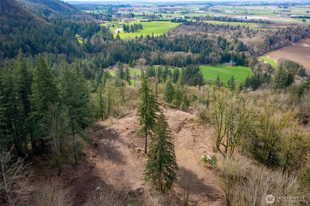 48 Reese Hill Road Sumas WA 98295