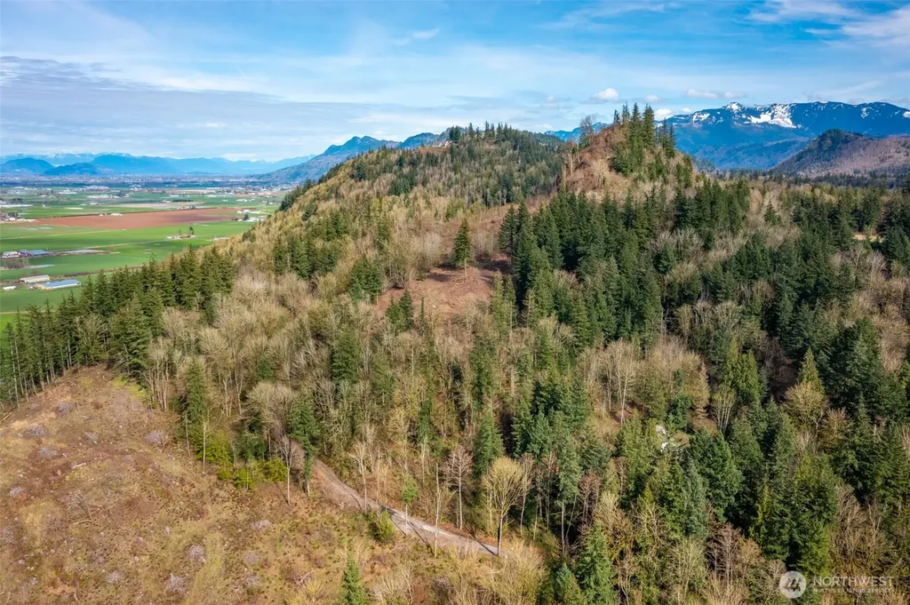 48 Reese Hill Road Sumas WA 98295