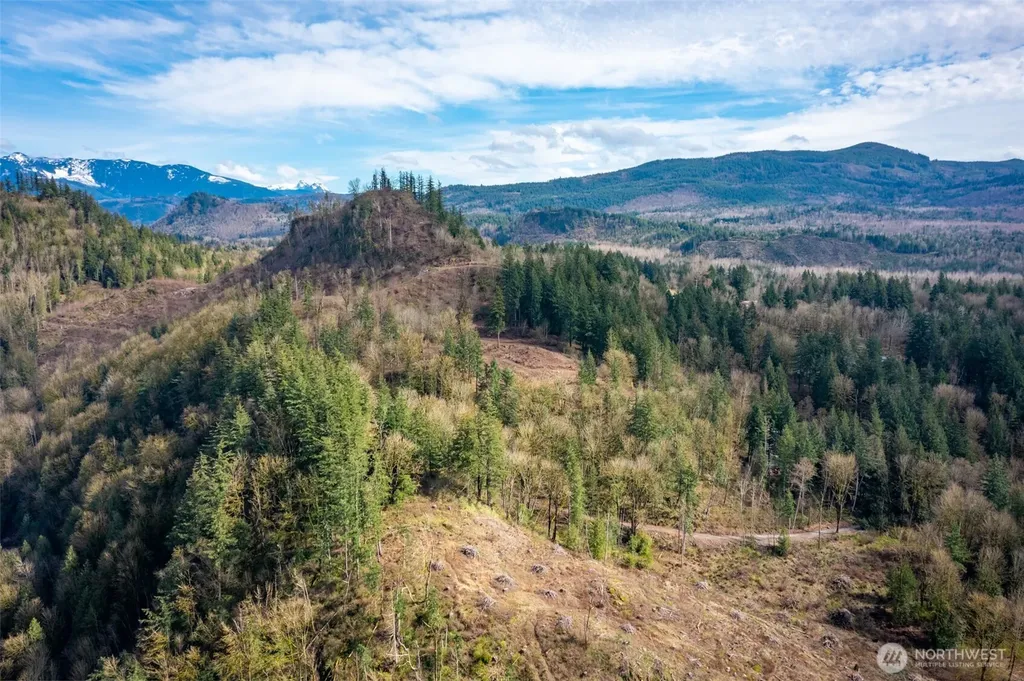 48 Reese Hill Road Sumas WA 98295