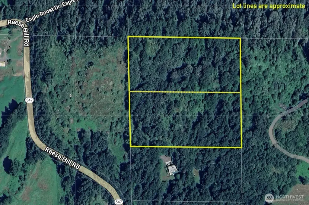 48 Reese Hill Road Sumas WA 98295