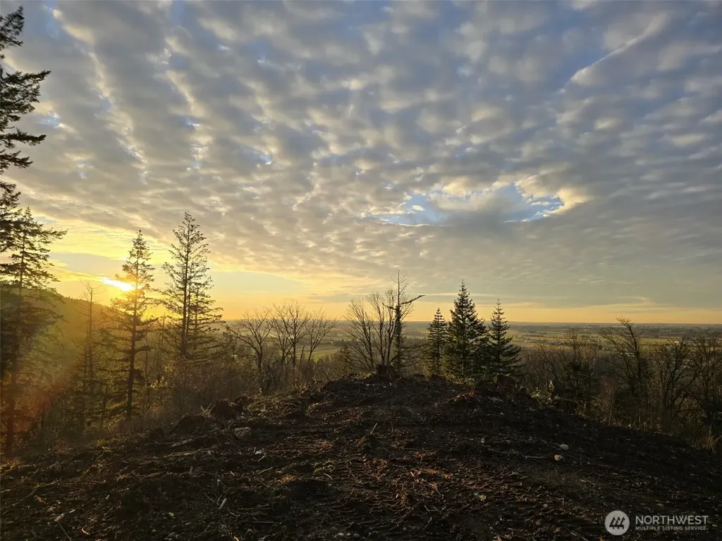 48 Reese Hill Road Sumas WA 98295