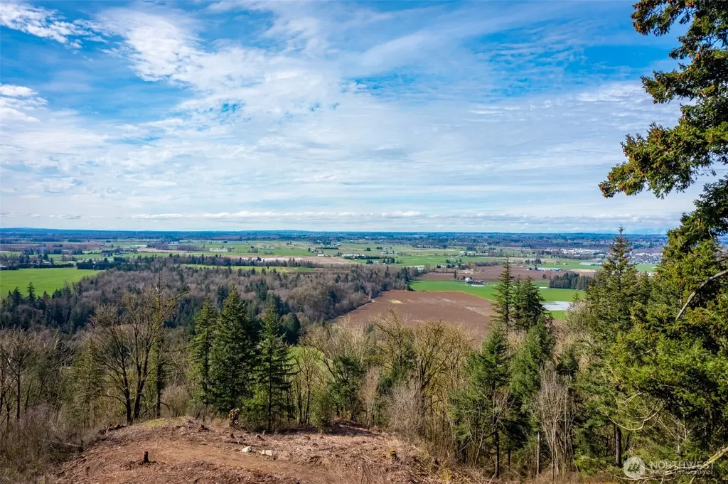 48 Reese Hill Road Sumas WA 98295