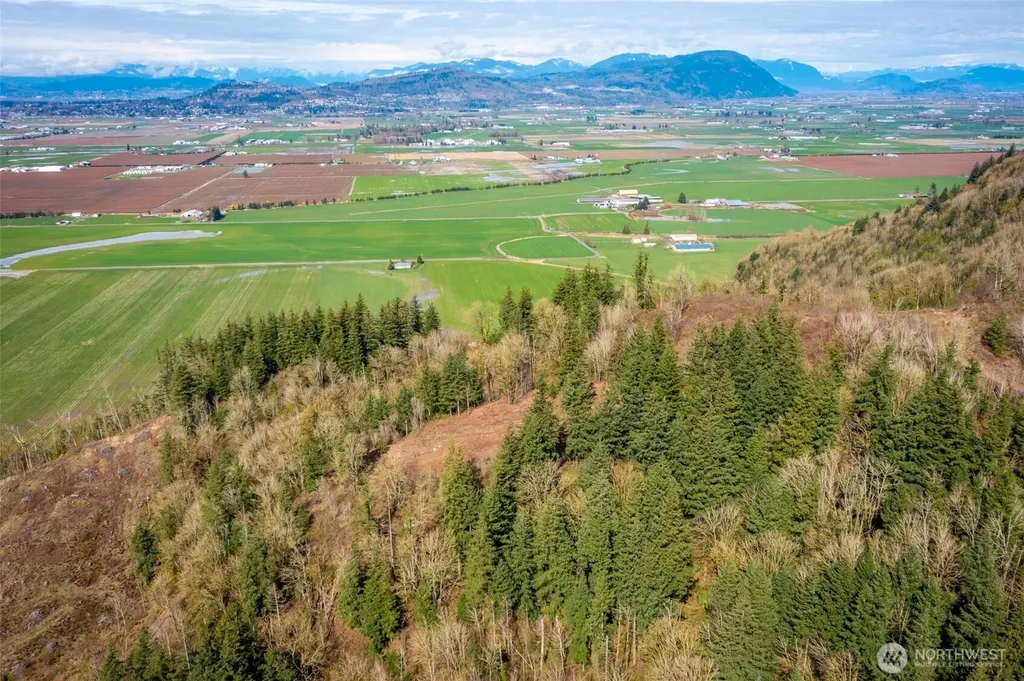 48 Reese Hill Road Sumas WA 98295