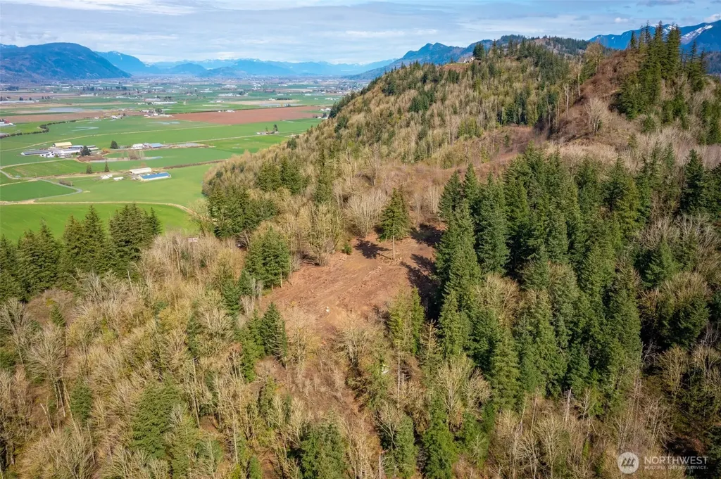 48 Reese Hill Road Sumas WA 98295