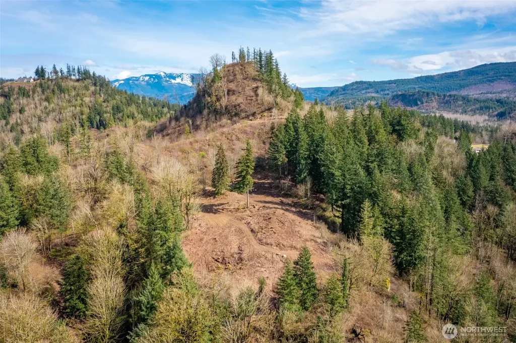 48 Reese Hill Road Sumas WA 98295