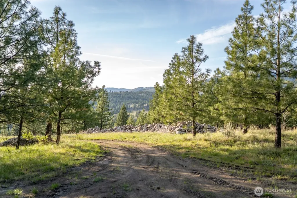 21 Deer Ridge Road Tonasket WA 98855