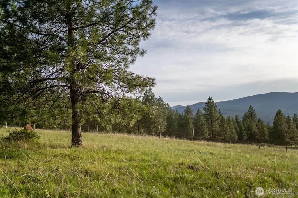 21 Deer Ridge Road Tonasket WA 98855