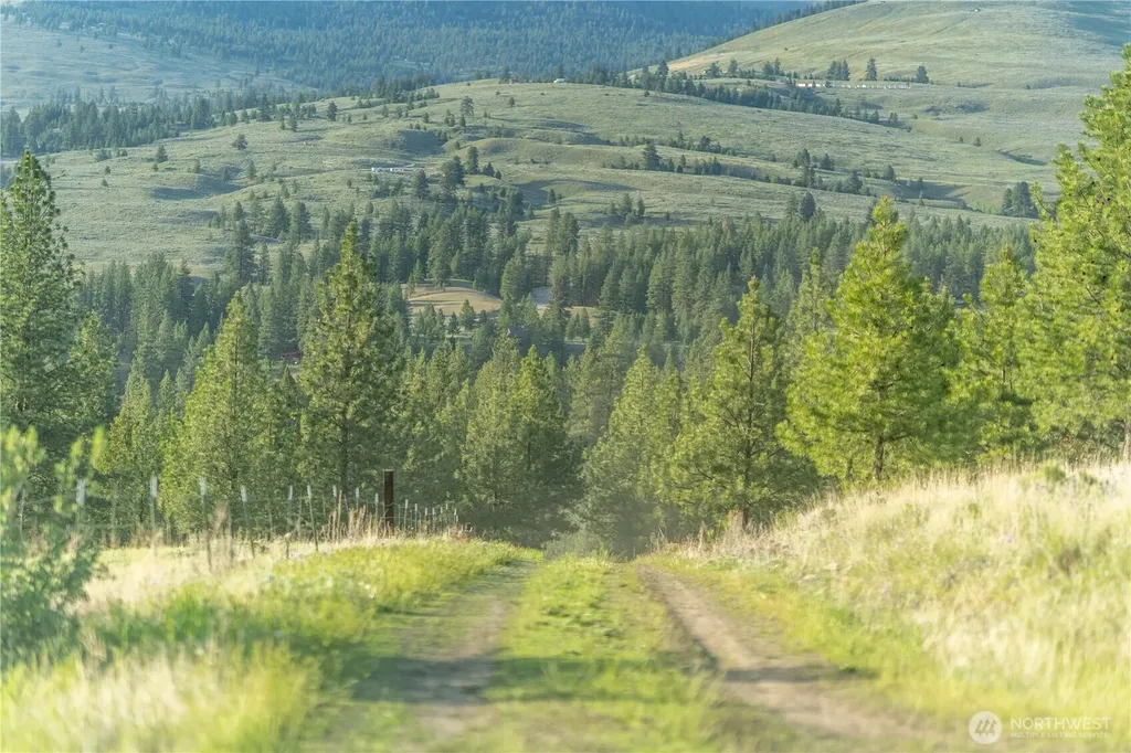 21 Deer Ridge Road Tonasket WA 98855