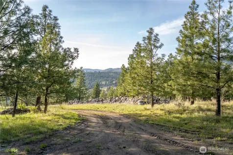21 Deer Ridge Road Tonasket WA 98855