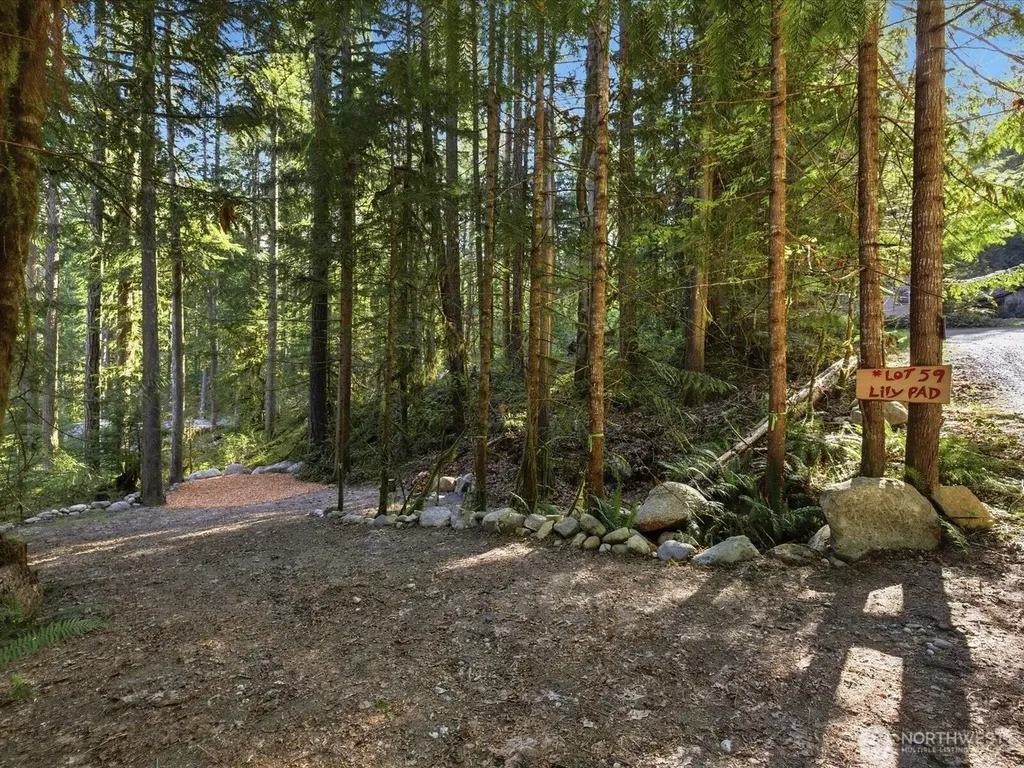 63424 W Cascade Way Marblemount WA 98267