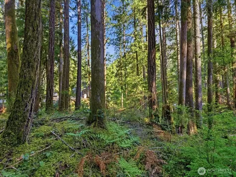 63424 W Cascade Way Marblemount WA 98267