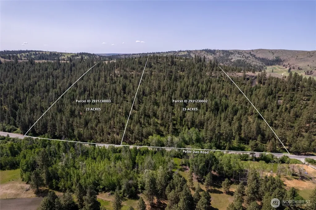 0 Peter Dan Creek Road Coulee Dam WA 99116