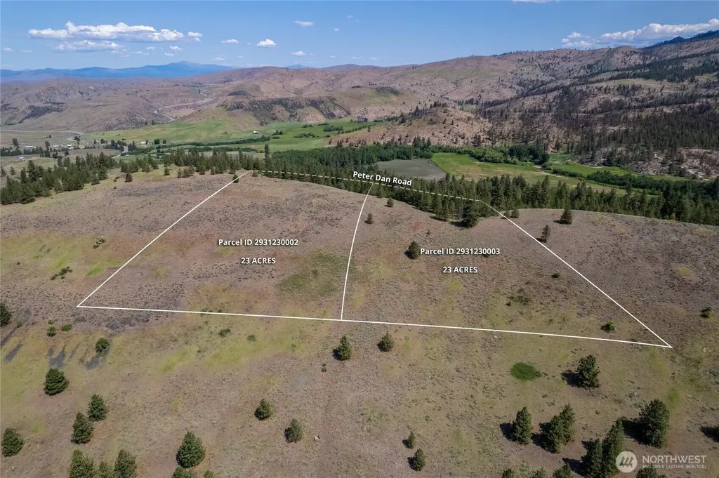 0 Peter Dan Creek Road Coulee Dam WA 99116