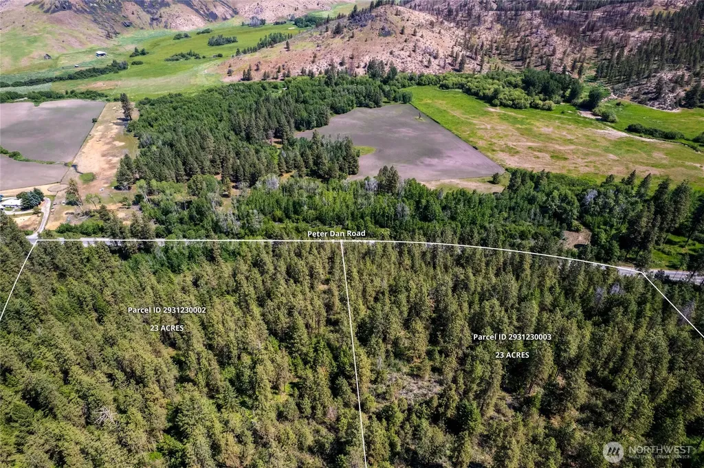 0 Peter Dan Creek Road Coulee Dam WA 99116