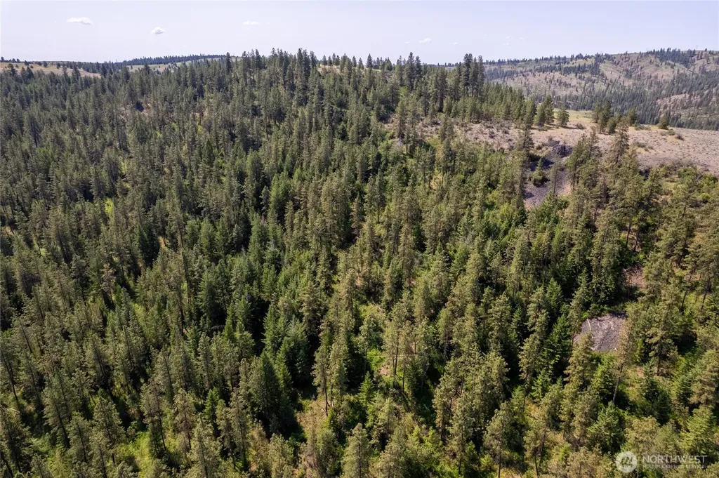 0 Peter Dan Creek Road Coulee Dam WA 99116
