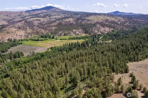 0 Peter Dan Creek Road Coulee Dam WA 99116