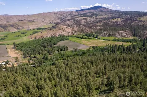 0 Peter Dan Creek Road Coulee Dam WA 99116