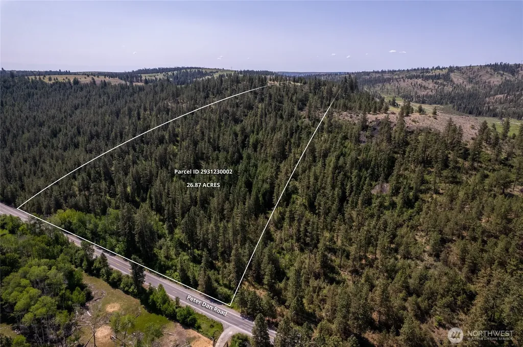 0 Peter Dan Creek Road Coulee Dam WA 99116