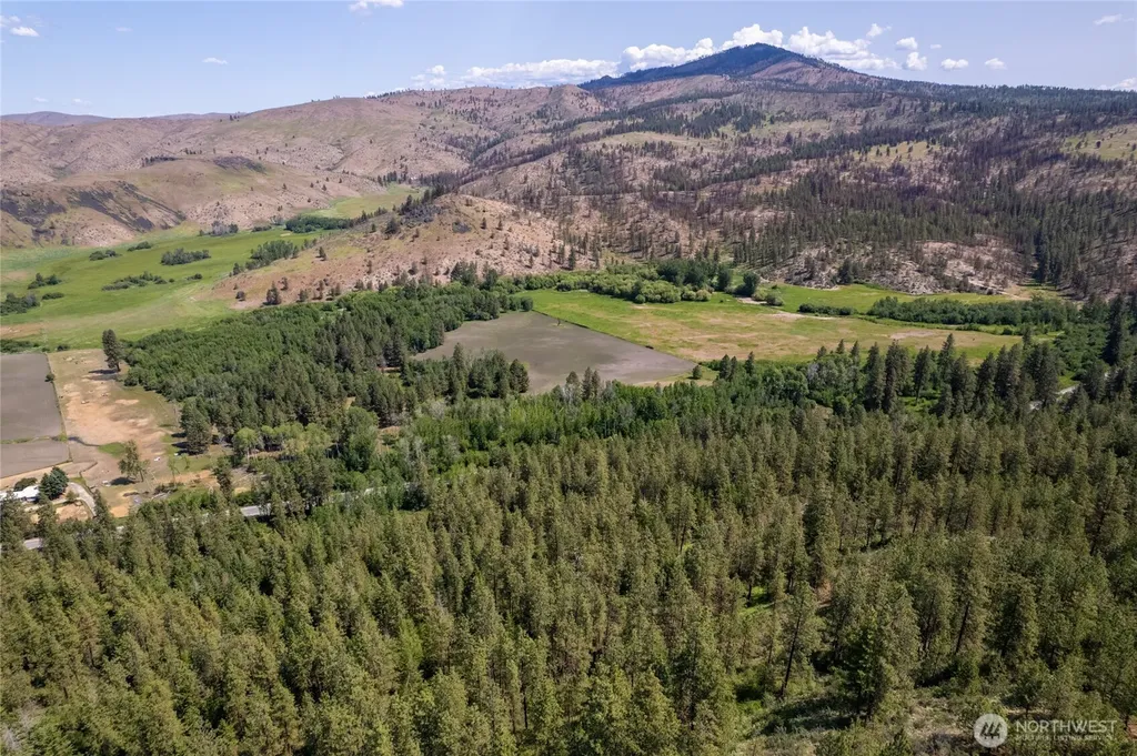 0 Peter Dan Creek Road Coulee Dam WA 99116