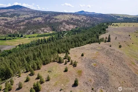 0 Peter Dan Creek Road Coulee Dam WA 99116