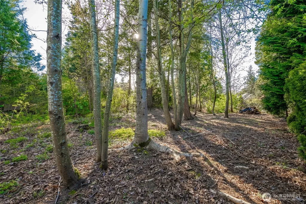 8647 Great Horned Owl Lane Blaine WA 98230