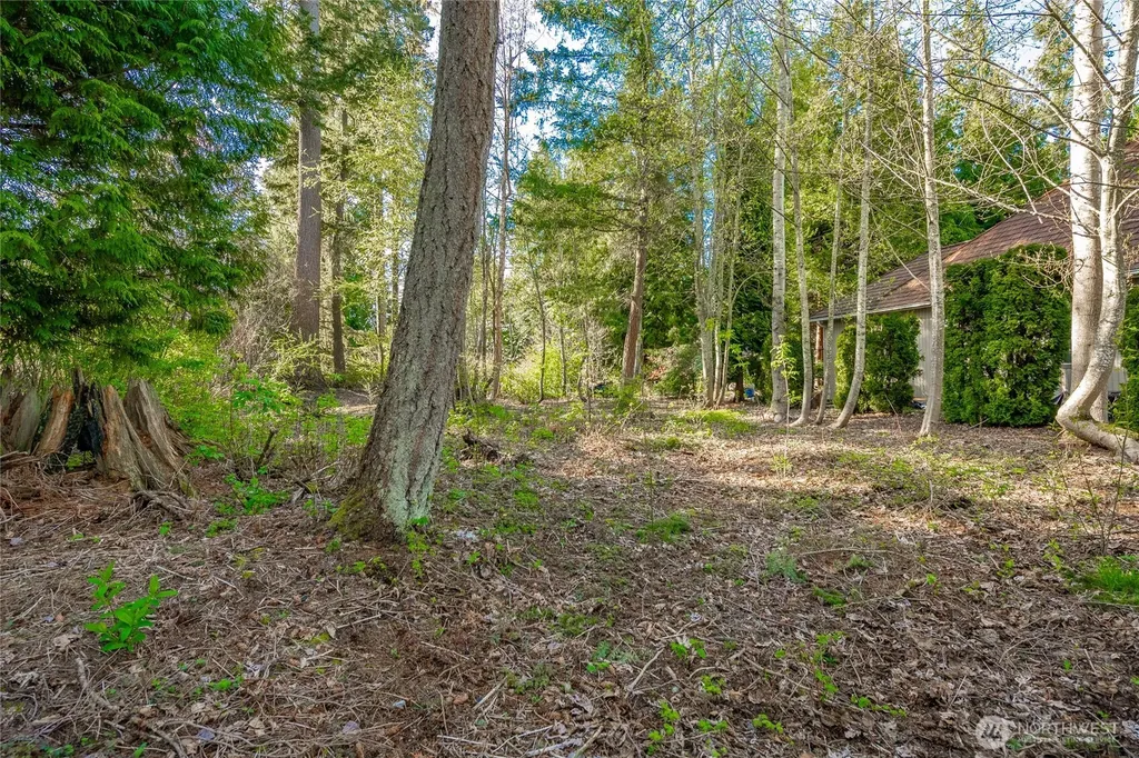 8647 Great Horned Owl Lane Blaine WA 98230