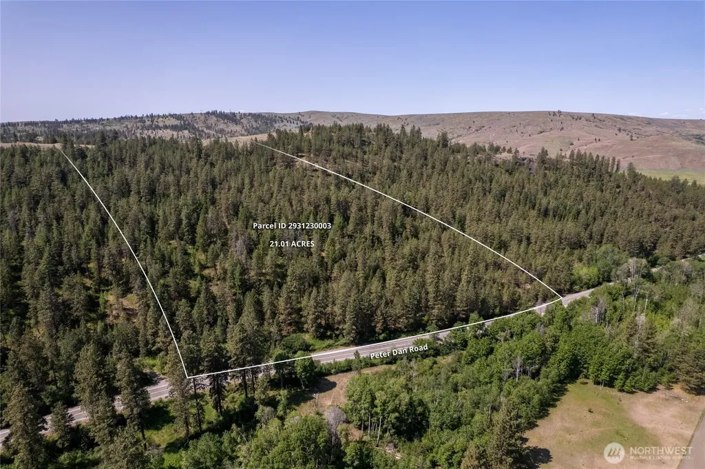 0 Peter Dan Road Coulee Dam WA 99116
