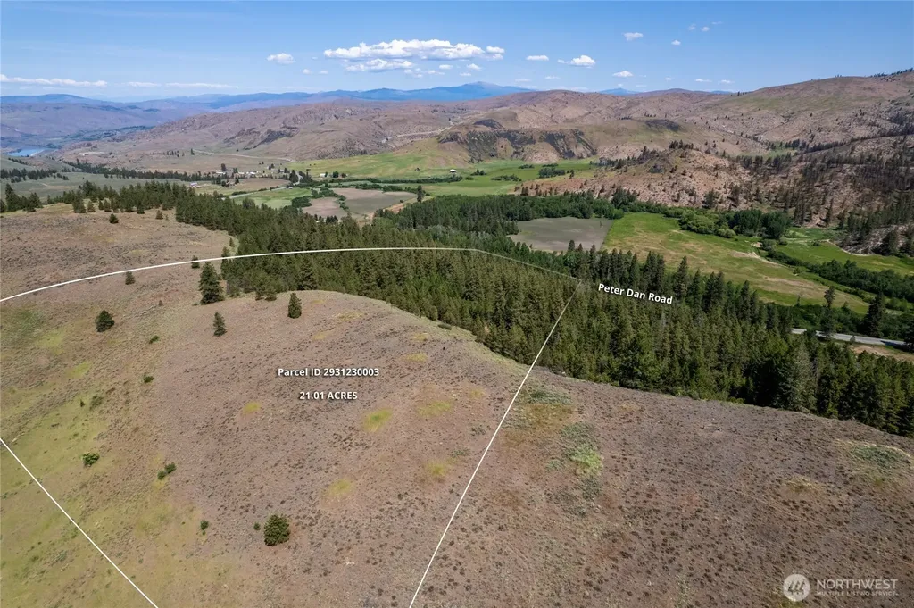 0 Peter Dan Road Coulee Dam WA 99116