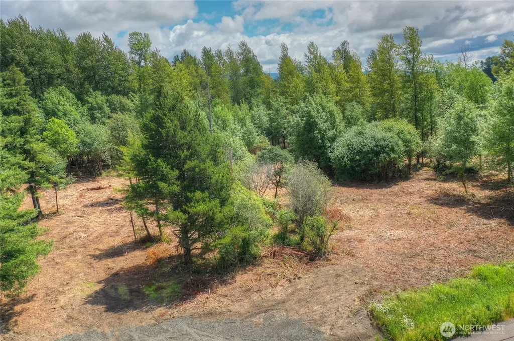 0 Old Wentzel Slough Road Elma WA 98541